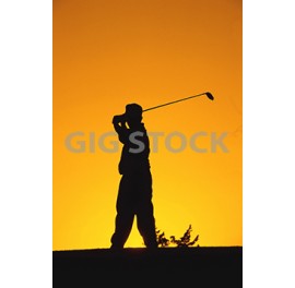 Golf 5